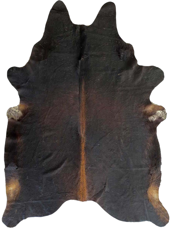 CHD29102