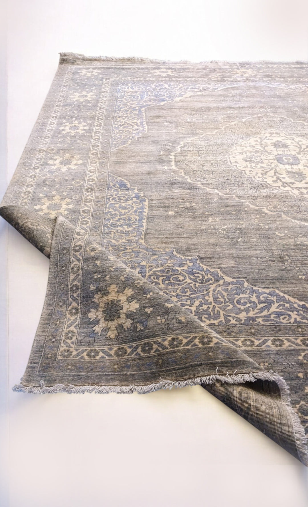 Embeyn Ziegler Silk Wash Rug - Size: 9.1 x 7.9