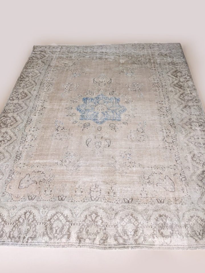 Marbelle - Size: 11.10 x 9.6