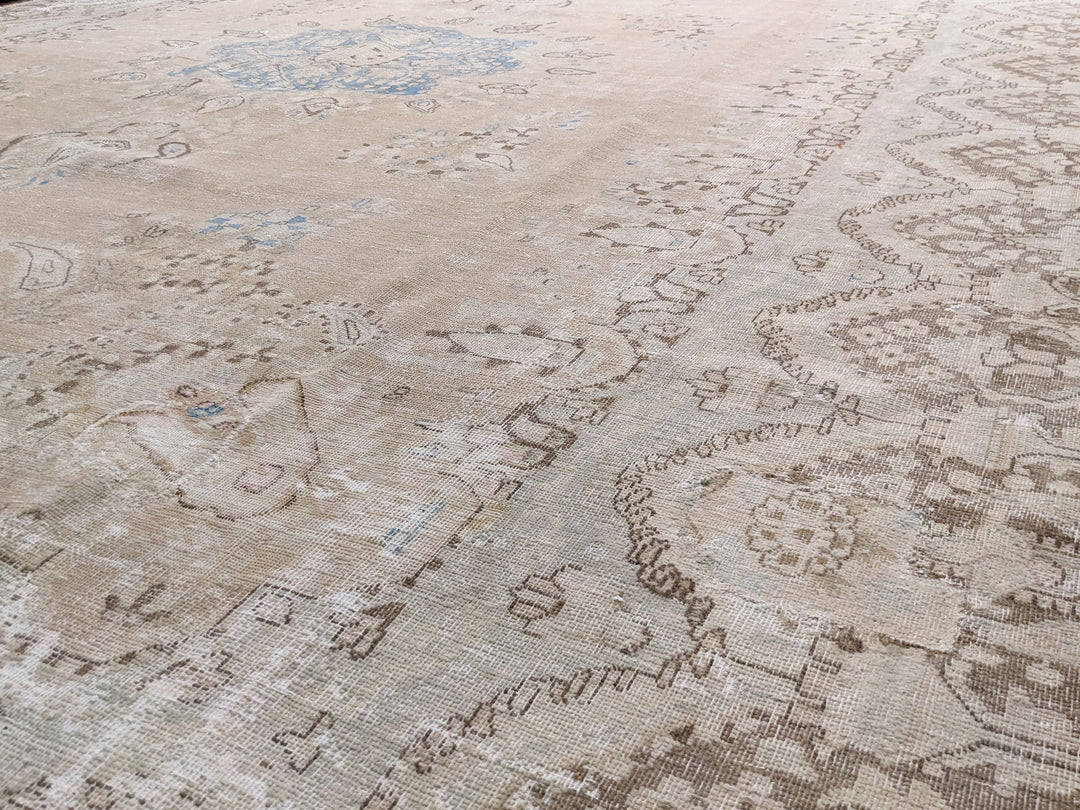 Marbelle - Size: 11.10 x 9.6