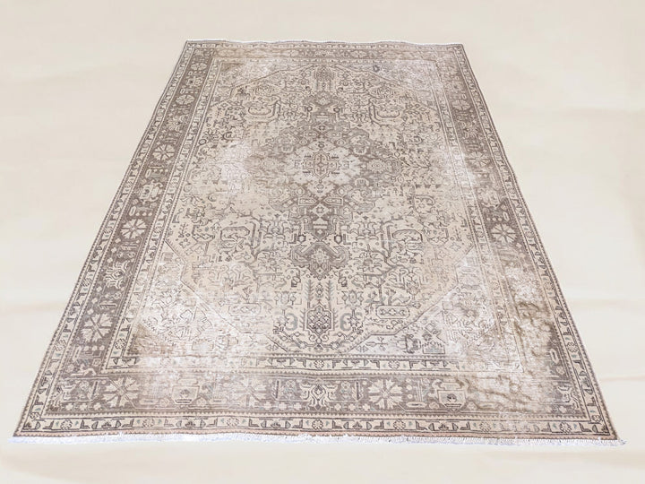 Hamadan Persian Vintage Wash Rug - Size: 9.2 x 6.4