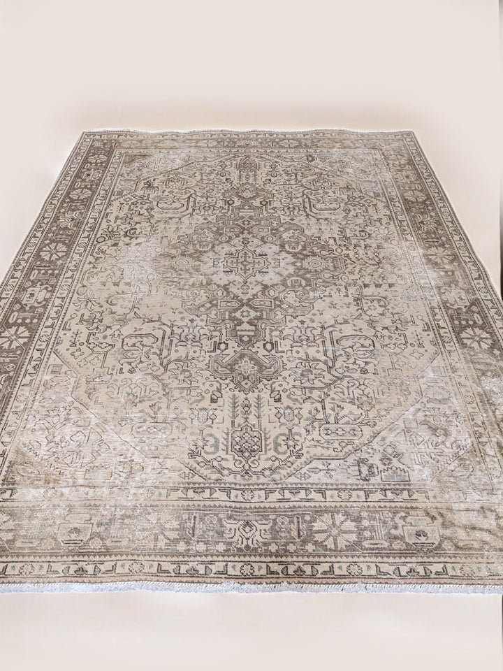 Hamadan Persian Vintage Wash Rug - Size: 9.2 x 6.4
