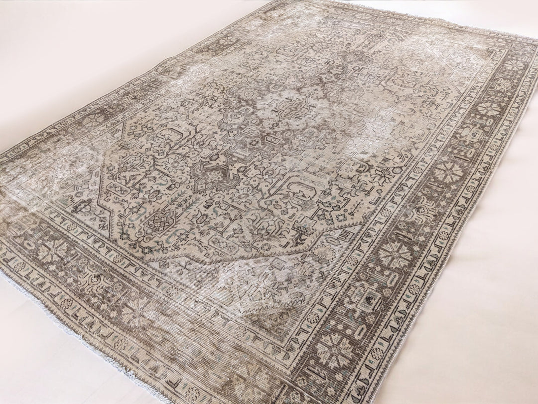 Hamadan Persian Vintage Wash Rug - Size: 9.2 x 6.4