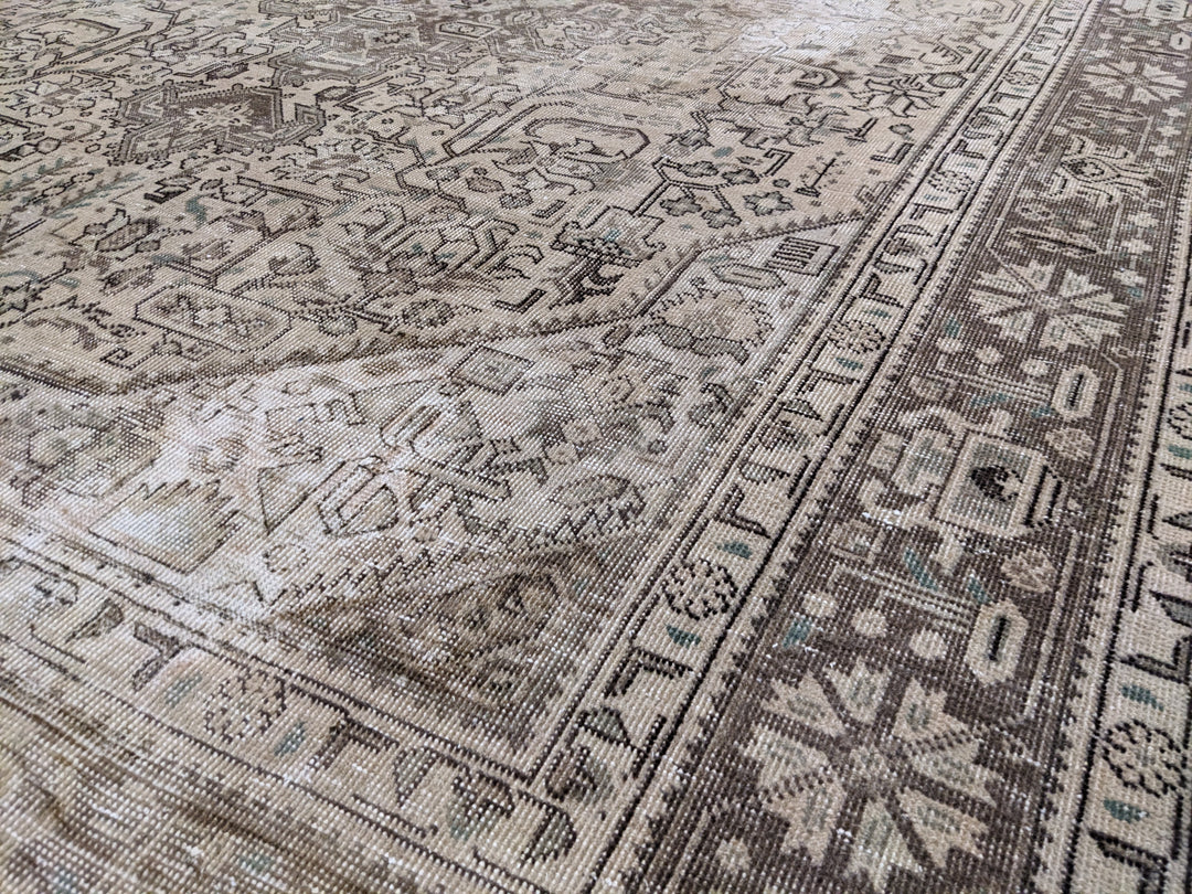 Hamadan Persian Vintage Wash Rug - Size: 9.2 x 6.4