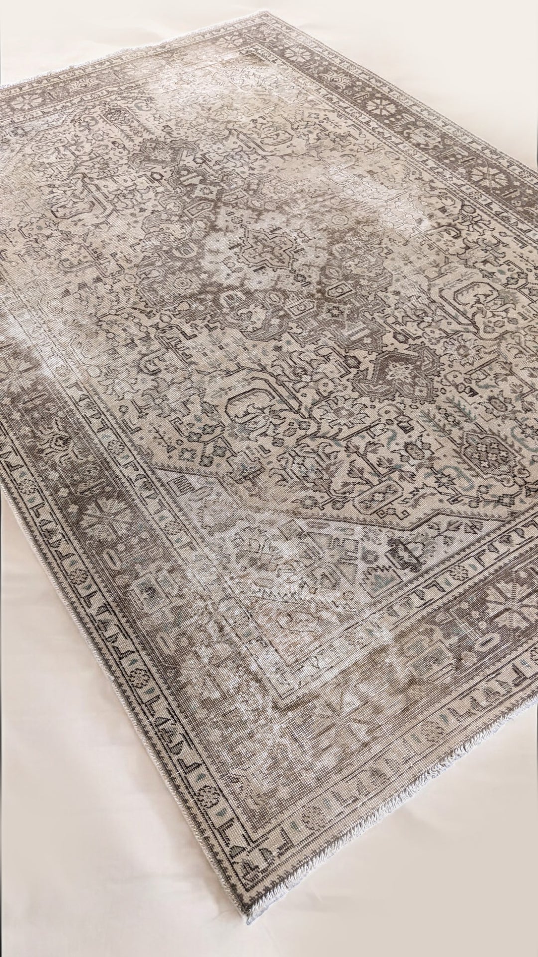 Hamadan Persian Vintage Wash Rug - Size: 9.2 x 6.4