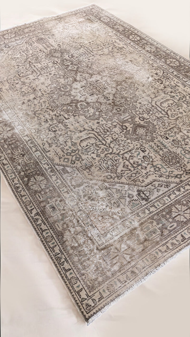 Hamadan Persian Vintage Wash Rug - Size: 9.2 x 6.4