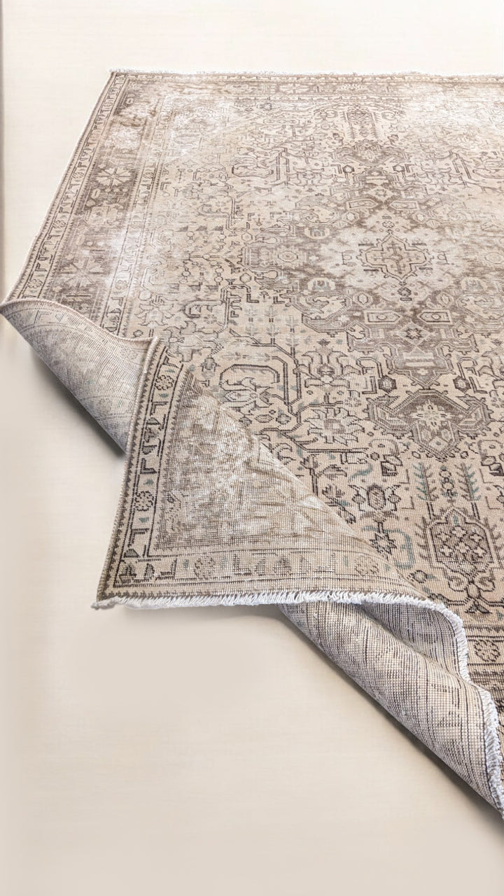 Hamadan Persian Vintage Wash Rug - Size: 9.2 x 6.4