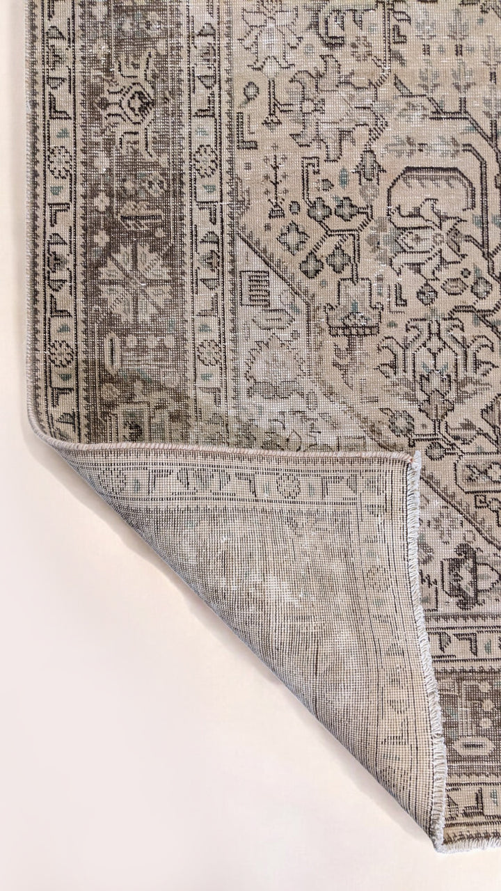 Hamadan Persian Vintage Wash Rug - Size: 9.2 x 6.4