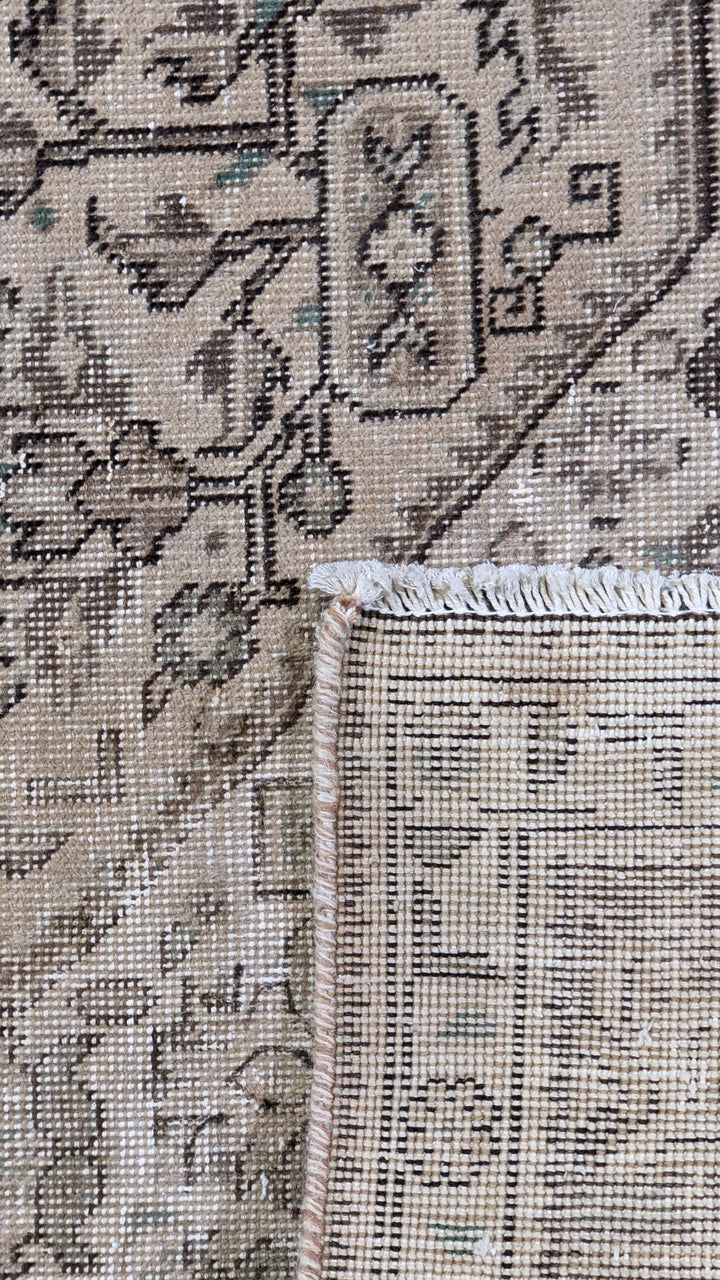 Hamadan Persian Vintage Wash Rug - Size: 9.2 x 6.4