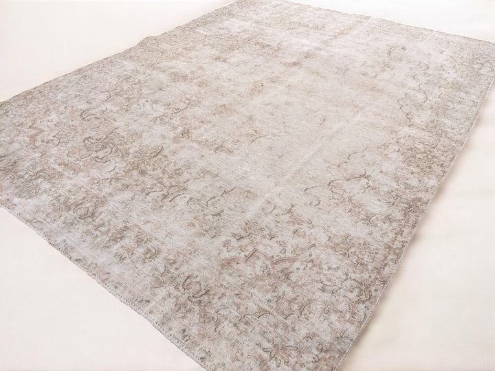 Covelle - Size: 8.11 x 6.6