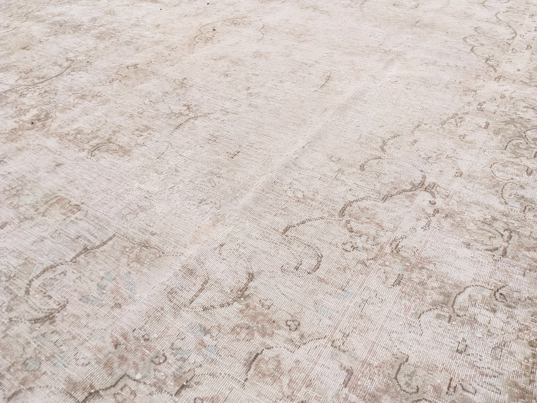 Covelle - Size: 8.11 x 6.6