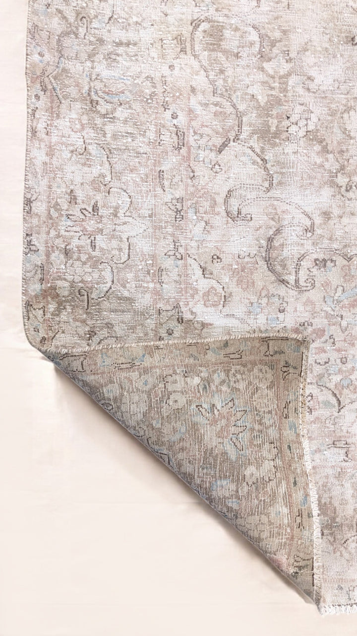 Covelle - Size: 8.11 x 6.6