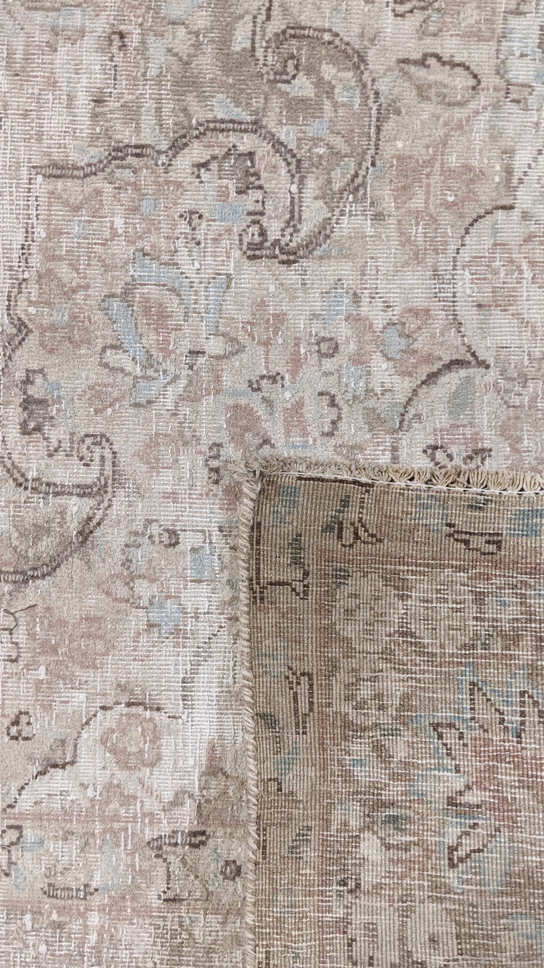 Covelle - Size: 8.11 x 6.6