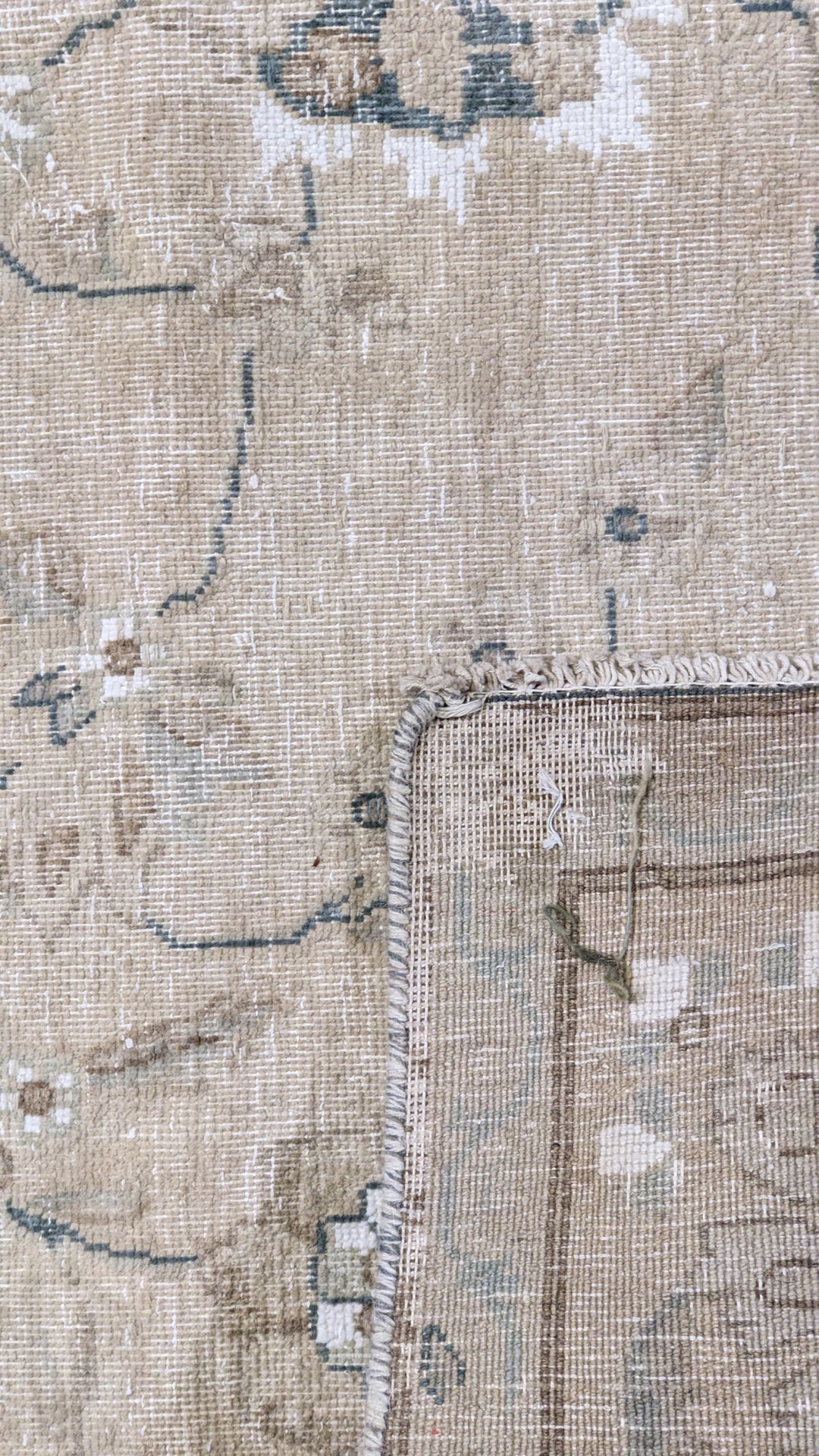 Cavelin - Size: 7.1 x 4.9