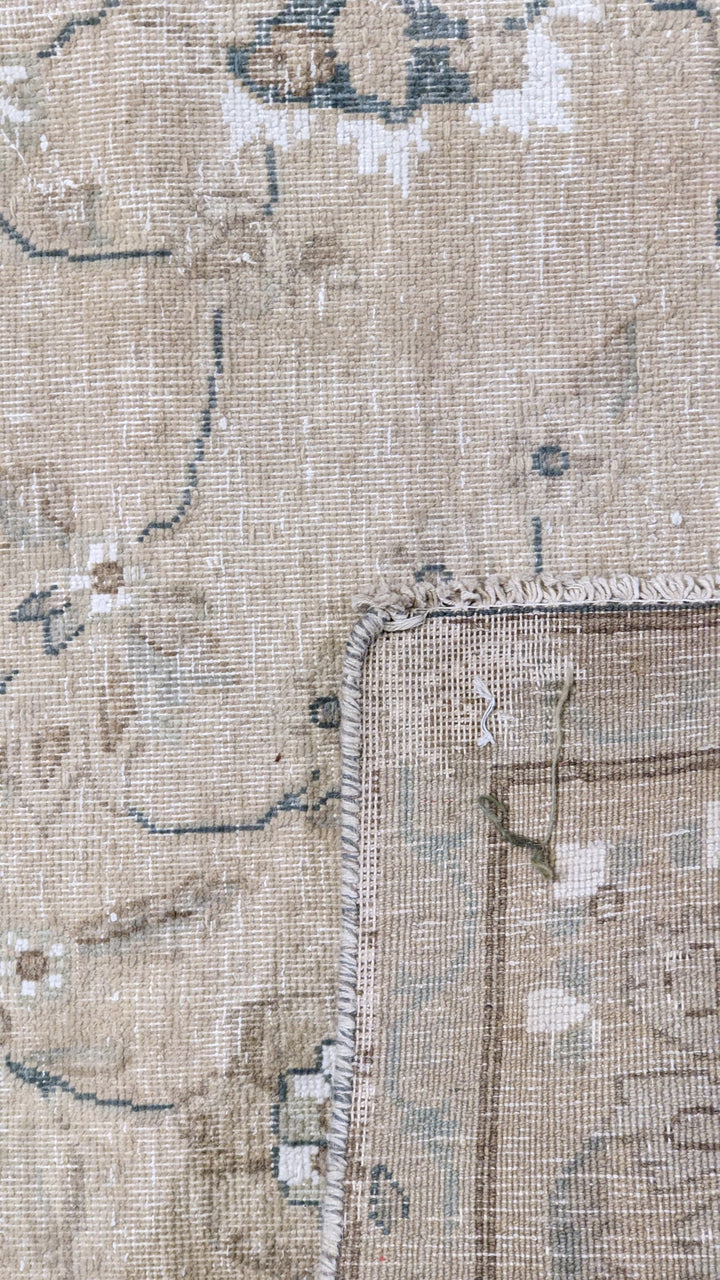 Cavelin - Size: 7.1 x 4.9