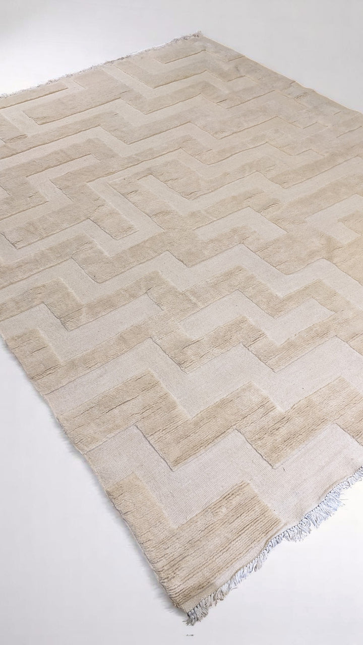 Hearth Hand Knotted Rug - Size: 12 x 9.3