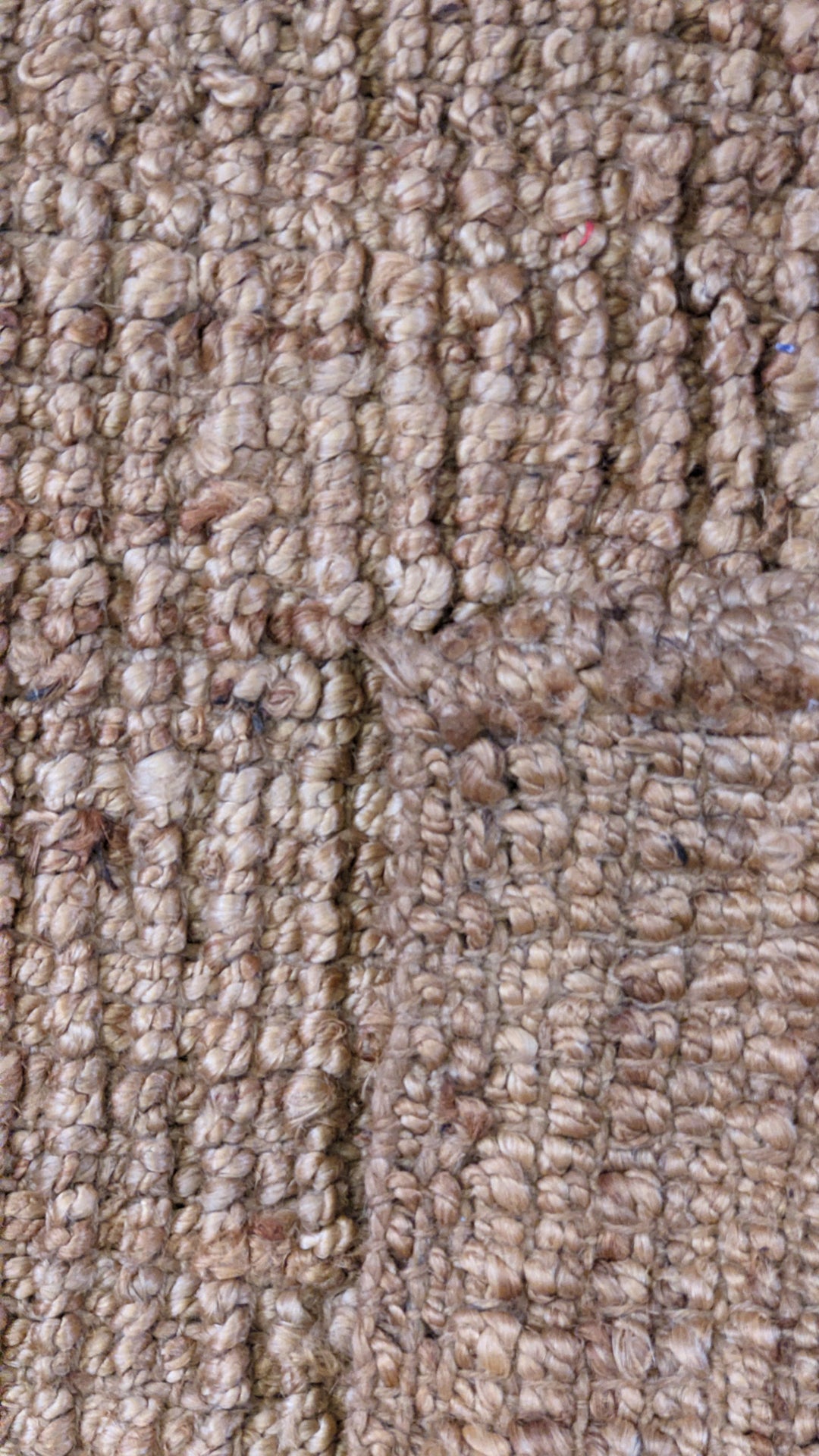 Aegis - Size: 5.6 x 3.5