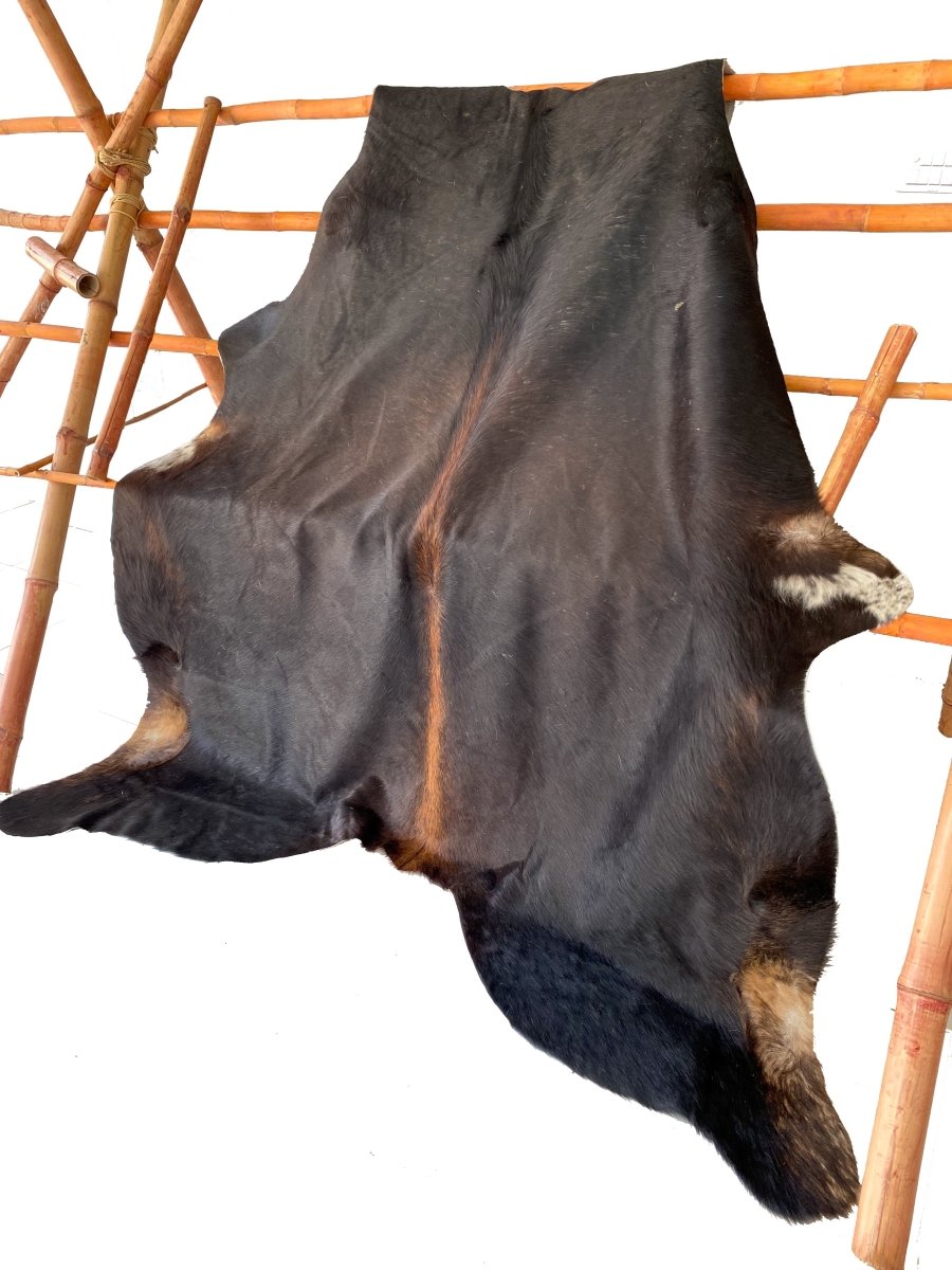 Black Authentic Cow Hide - Size: 7.9 x 6.2 - Imam Carpets - Online Shop